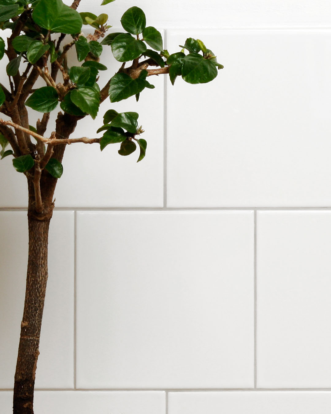 Vitt kvadratiskt kakel satt i tegelf&ouml;rband med ljusgr&aring; fog.