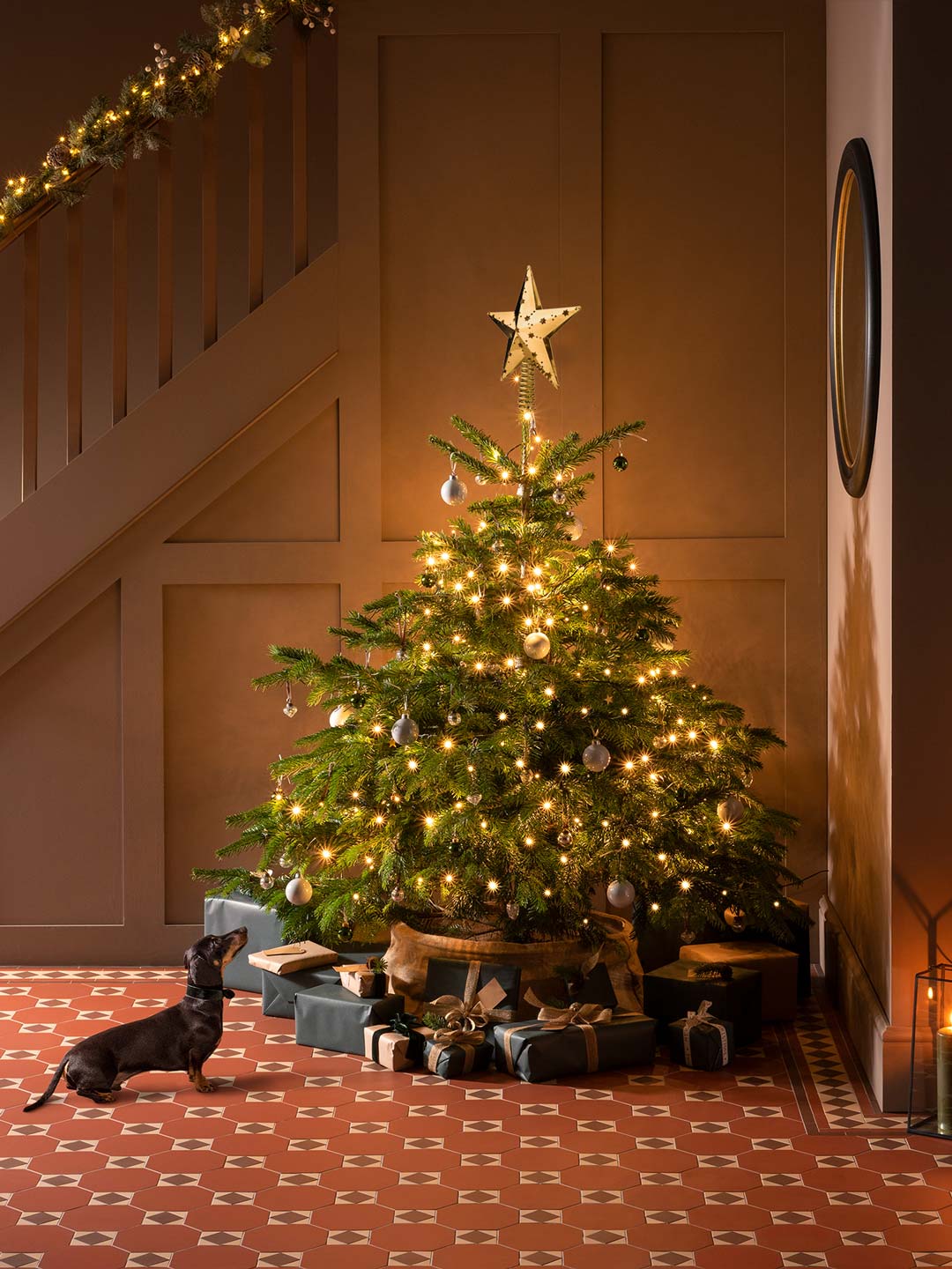 Tax tittar p&aring; pyntad julgran med toppstj&auml;rna Magler&ouml;d i m&auml;ssing. Klinkergolv i m&ouml;nster Arundel.